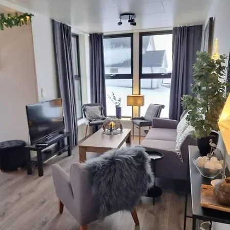 Sommaroy Aurora דירה